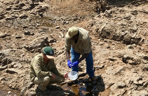 two rangers standing on rocky ground collect water sample from water hole