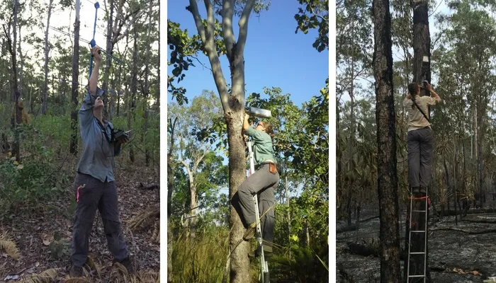 CDU Student Alyson climbing trees