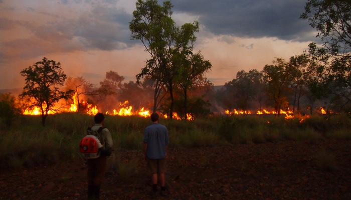 Two men observing a bushfire as part of a research project led by Professor Sam Banks