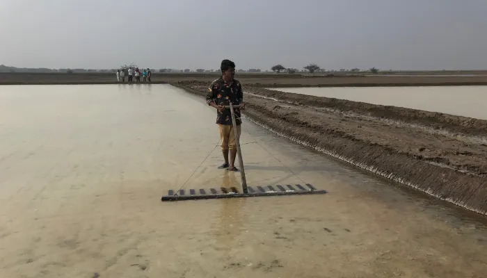 dion%20morrow%20-%20ewb%20study%20trip%20-%20india%20-%20salt%20farming