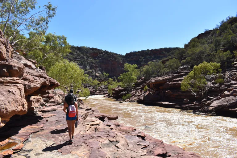 ema-student-story-nature