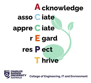 college of engineering, it and environment accept infographic