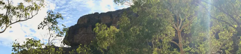 Trees in front of rock formation