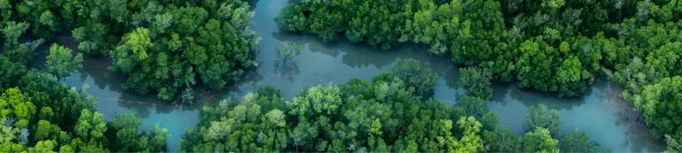 aerial shot of tiwi islands river system