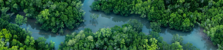 aerial shot of tiwi islands river system