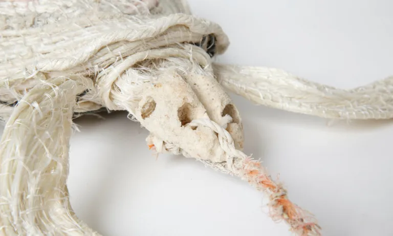 Aly de Groot's ghost net sea turtle artwork