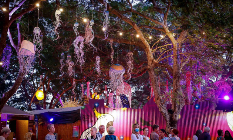 Wish Upon a Jellyfish Installation by Aly de Groot at Darwin Festival 2022