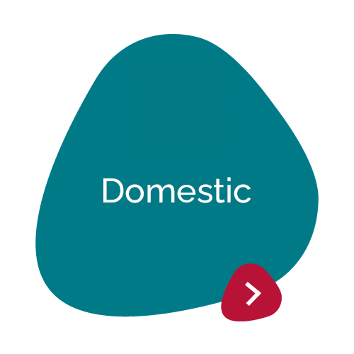 Teal petal with text in the middle "Domestic" 