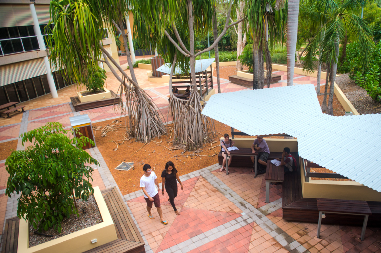 Students in the library courtyard