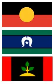 Aboriginal, Torres Strait Islander and Larrakia flag 