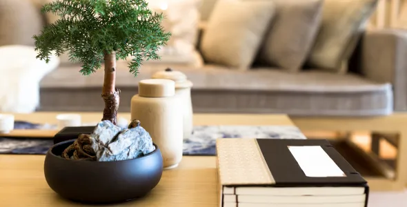 Lounge and coffee table