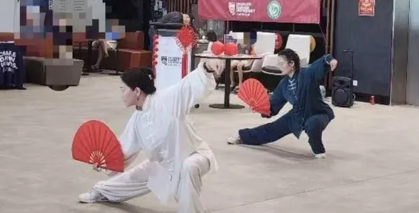 tai chi fan 2