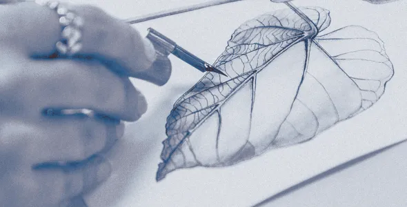 Artist drawing detailed Leaf