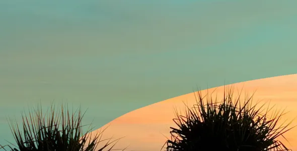 painting of a sunset