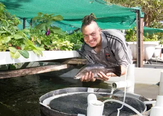 Aquaculture at CDU VET