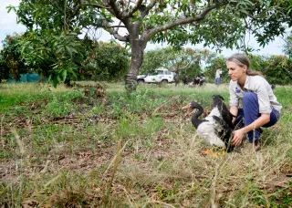 Environmental science at CDU