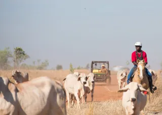 Primary industries study at CDU 