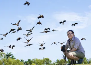 Photo of magpie geese outside
