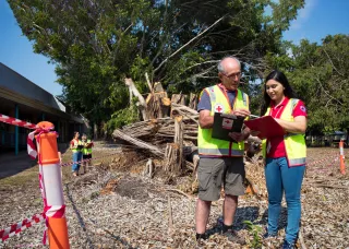 Emergency wardens beside felled tree