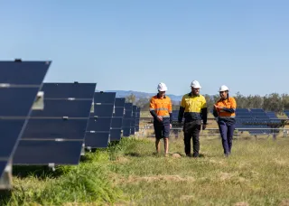Group of technicians walking beside solar panels