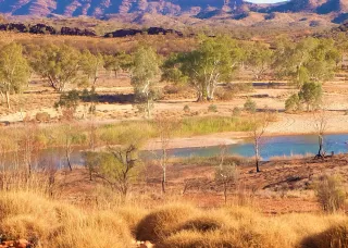 Alice Springs river landscape