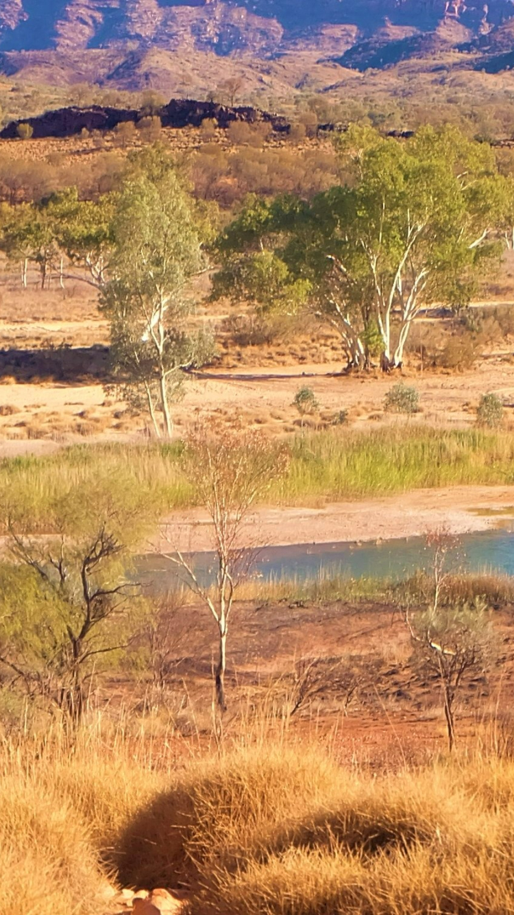 Alice Springs river landscape