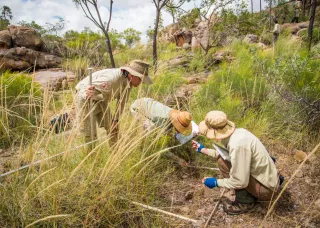Bushfire researchers on country