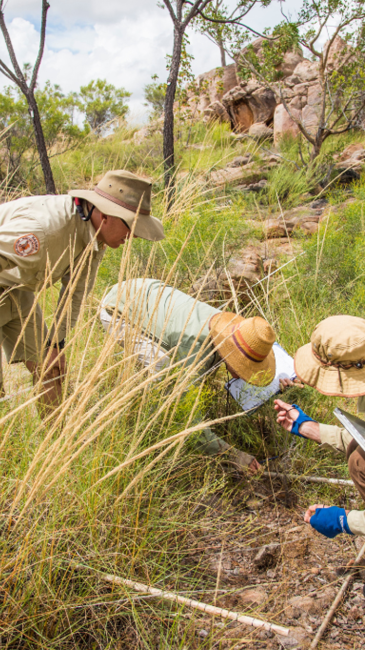 Bushfire researchers on country