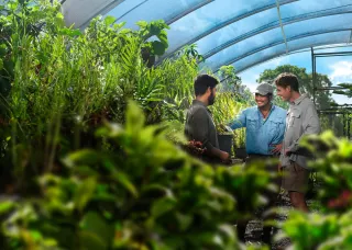 Aj in a greenhouse with his friends