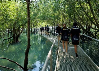 Image of high school students walking through mangroves for the CDU science experiencce