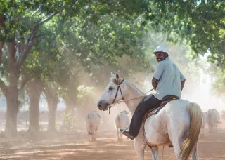 Student on horseback
