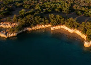 long line of sunlit coastal cliffs with water in front and forest behind