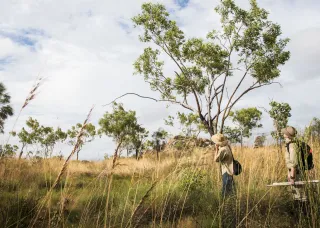 two people wearing khaki shirts and hats walking through savanna with tall grass and scattered trees