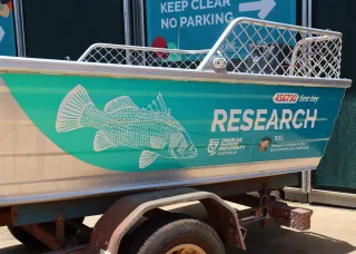 The vessels were recently freshened up with wraps inspired by local wildlife.