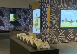 Ranjipuy art exhibition display