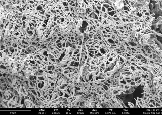 A Honeycomb Woven from Nanofibers by Pranta Barua from CDU's Faculty of Science and Technology.