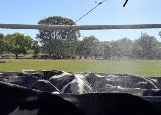 Farms are having increases in water costs because of water spaying heat stressed cows. Picture: Kerstin Zander