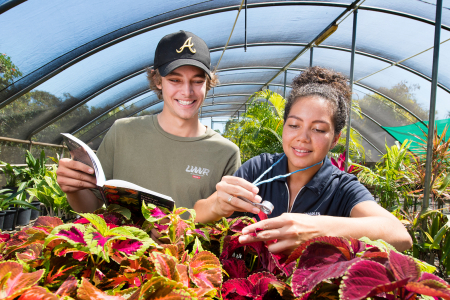 Horticulture students inspecting plants