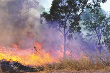 Fire - credit K. Thorburn