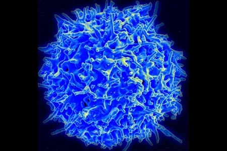 Wuhan coronavirus