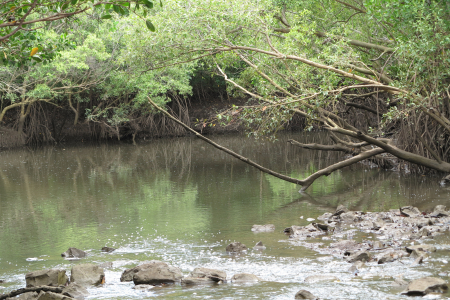 Image of Rapid Creek