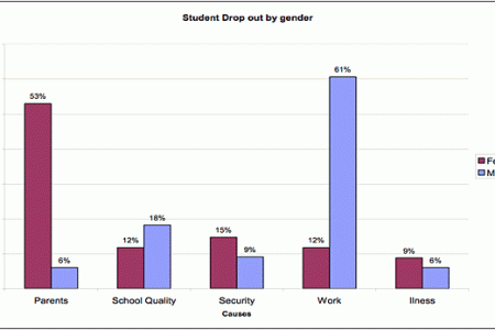 Example graph of school dropout rates