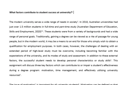 Sample essay document