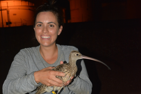 Charles Darwin University research associate Dr Amanda Lilleyman with a Far Eastern Curlew, the focus of her research in the Top End