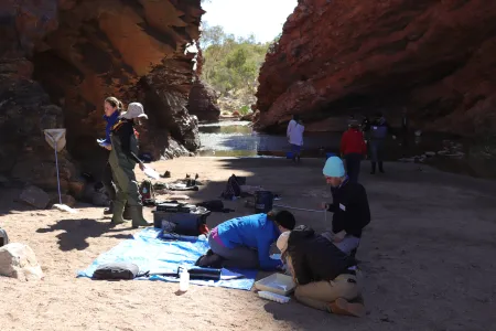 Desert Ecology students investigate arid zone flora and fauna 