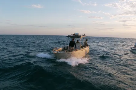 Seagrass habitat is a vital component of marine life in the Top End. Photo: Plaxy Barratt