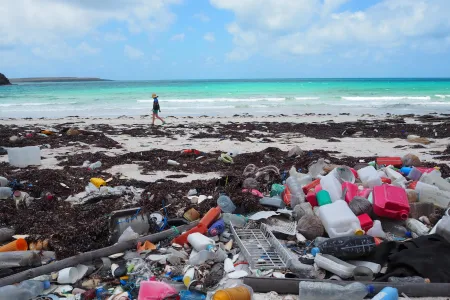 CDU researchers explore the piles of rubbish that continues to build on Wessel Islands beaches left scattered every wet season. 