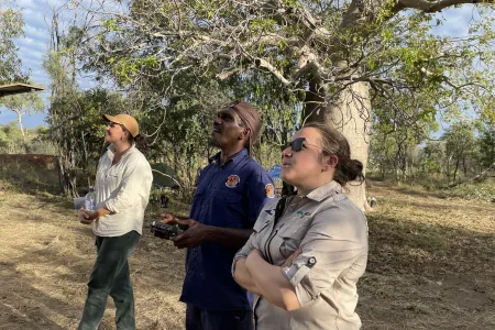 drone-survey-wallabies