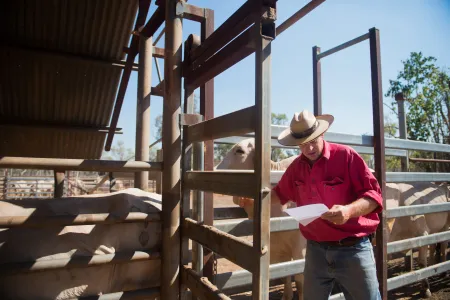 A Youth Futures Group has been established by Charles Darwin University (CDU) in the Big Rivers region to support building the regions capability to meet current and future employment and workforce needs. 