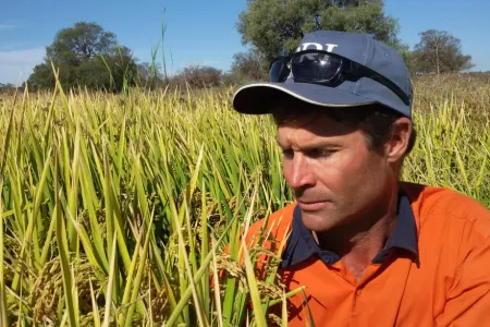 Leigh Vial head and shoulders surrounded by grass-like leaves and seeds of rice crop